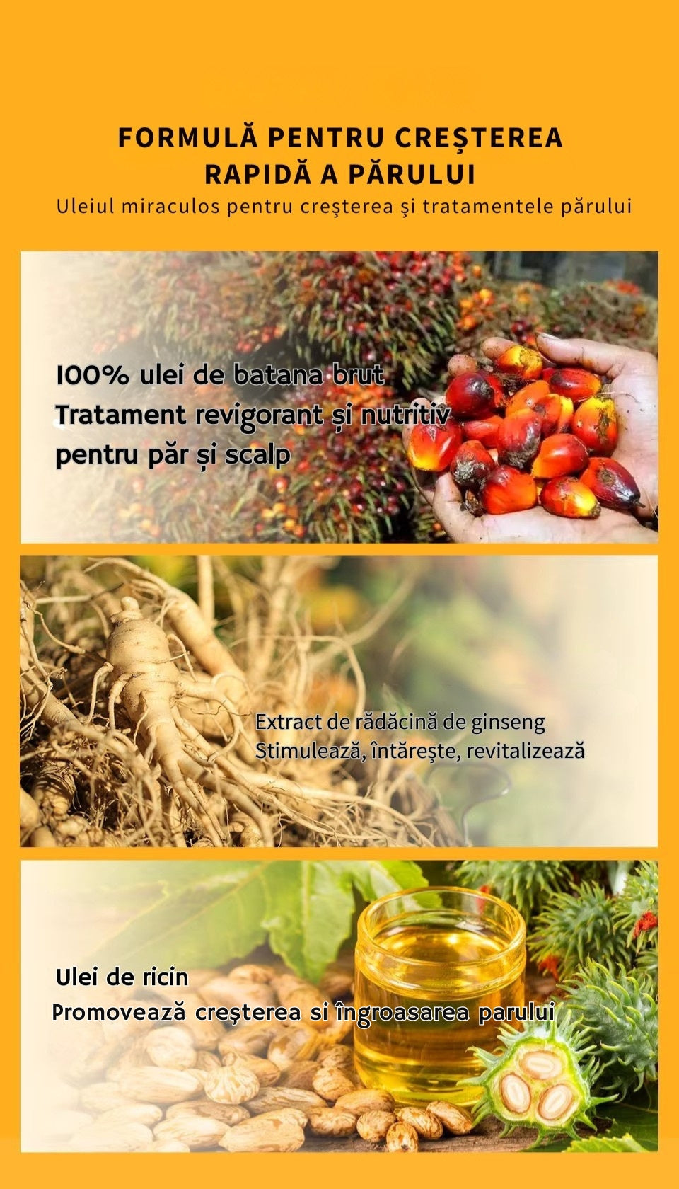 Describes the appearance of the image